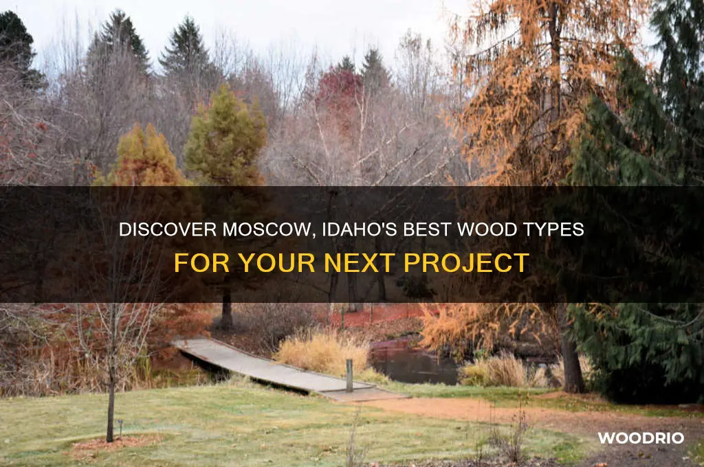 what kind of wood can you buy in moscow idaho