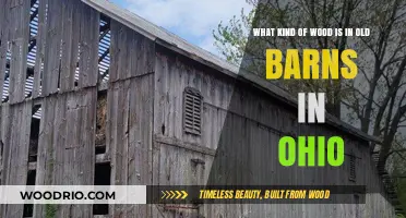 Ohio's Historic Barns: Uncovering the Types of Wood Used in Their Construction