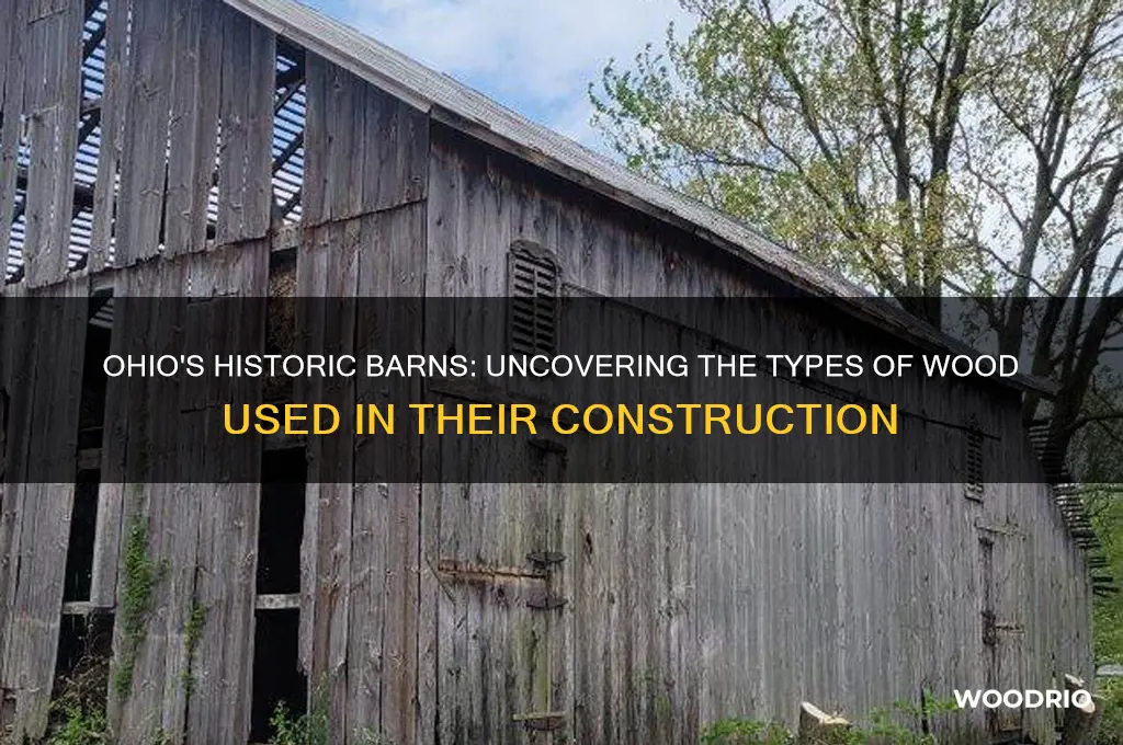 what kind of wood is in old barns in ohio