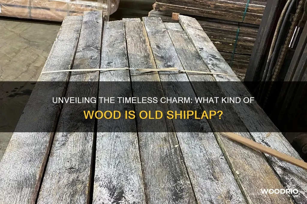 what kind of wood is old shiplap