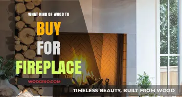Choosing the Best Fireplace Wood: Types, Benefits, and Buying Tips