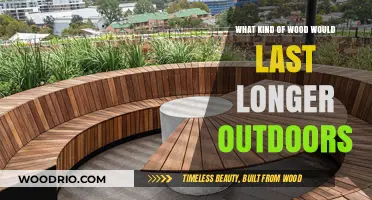 Best Outdoor Wood Types: Durability and Longevity Guide