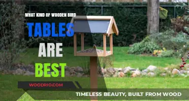 Choosing the Perfect Wooden Bird Table: Top Styles and Tips