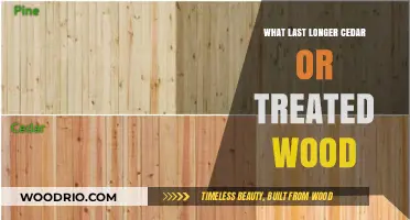 Cedar vs. Treated Wood: Which Lasts Longer for Outdoor Projects?