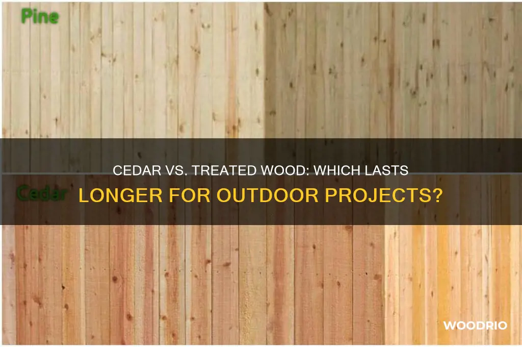 what last longer cedar or treated wood