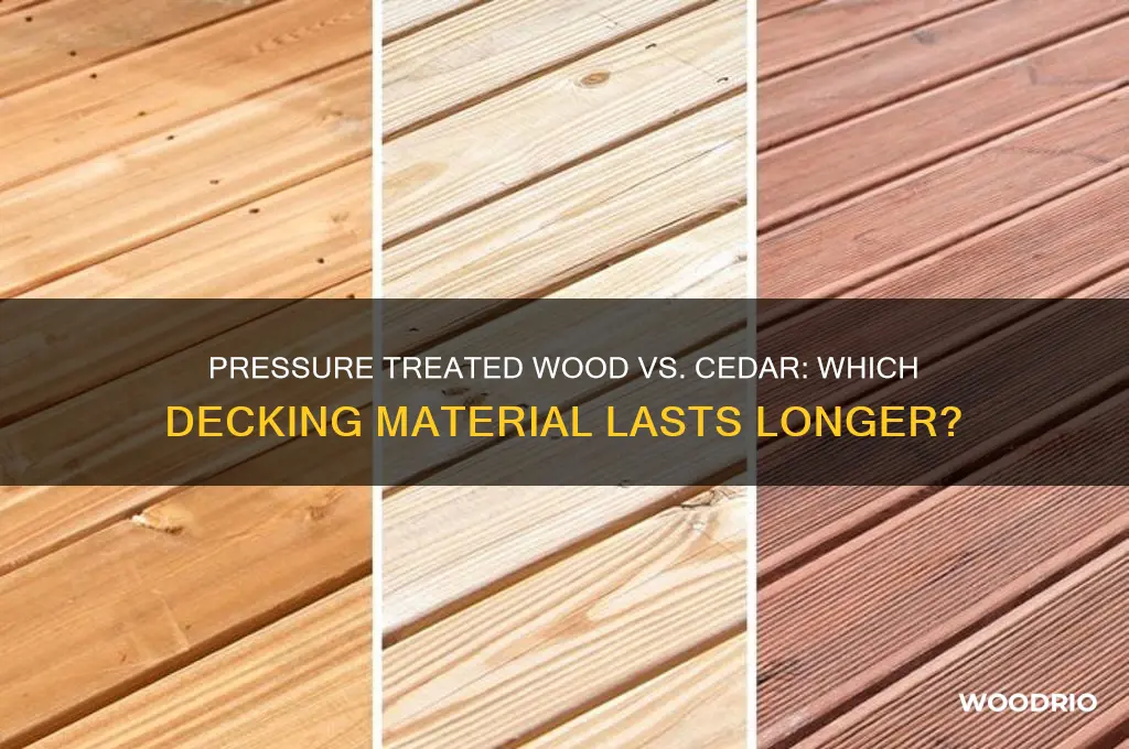 what lasts longer pressure treated wood or cedar