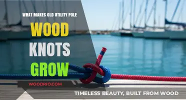 Why Old Utility Pole Wood Knots Expand Over Time: Explained