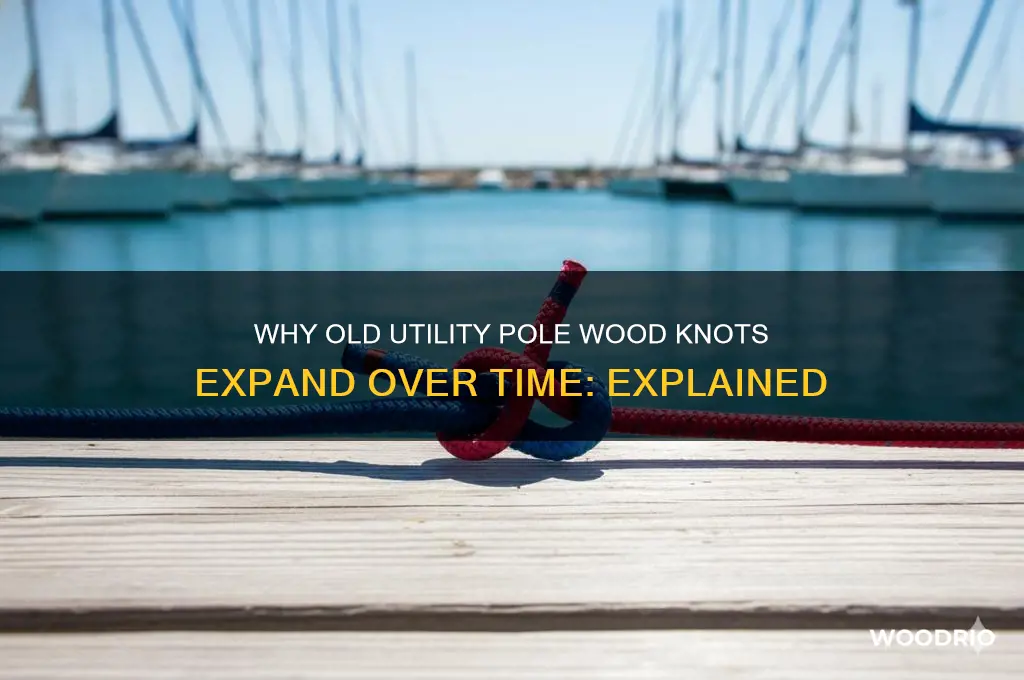 what makes old utility pole wood knots grow