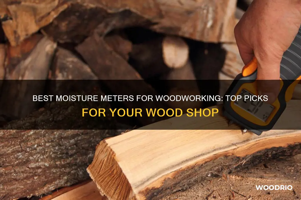 what moisture meter to buy for wood shop
