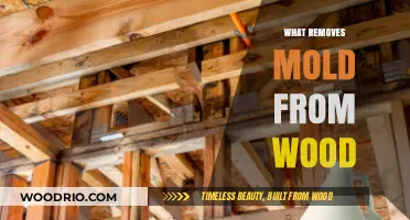 Effective Methods to Eliminate Mold from Wood Surfaces