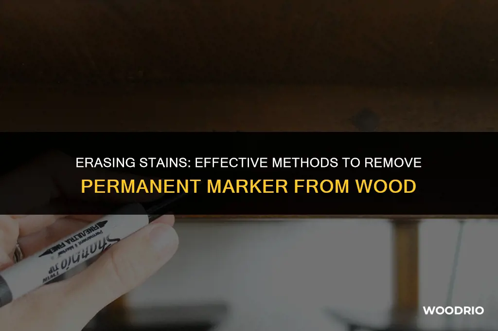 what removes permanent marker from wood
