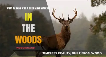 Echoes of the Forest: Unraveling the Sounds of a Deer's Woodland Stroll