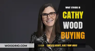 Cathy Wood's Latest Stock Picks: Unveiling Her Top Buys Now