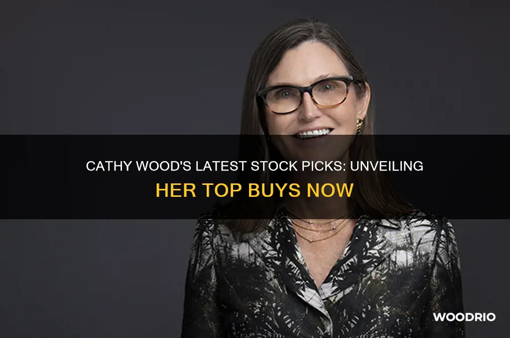 what stocks is cathy wood buying