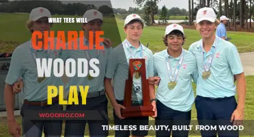 Exploring Charlie Woods' Tee Preferences: A Golf Enthusiast's Guide