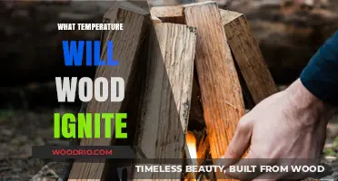 Exploring the Ignition Point of Wood: A Comprehensive Guide