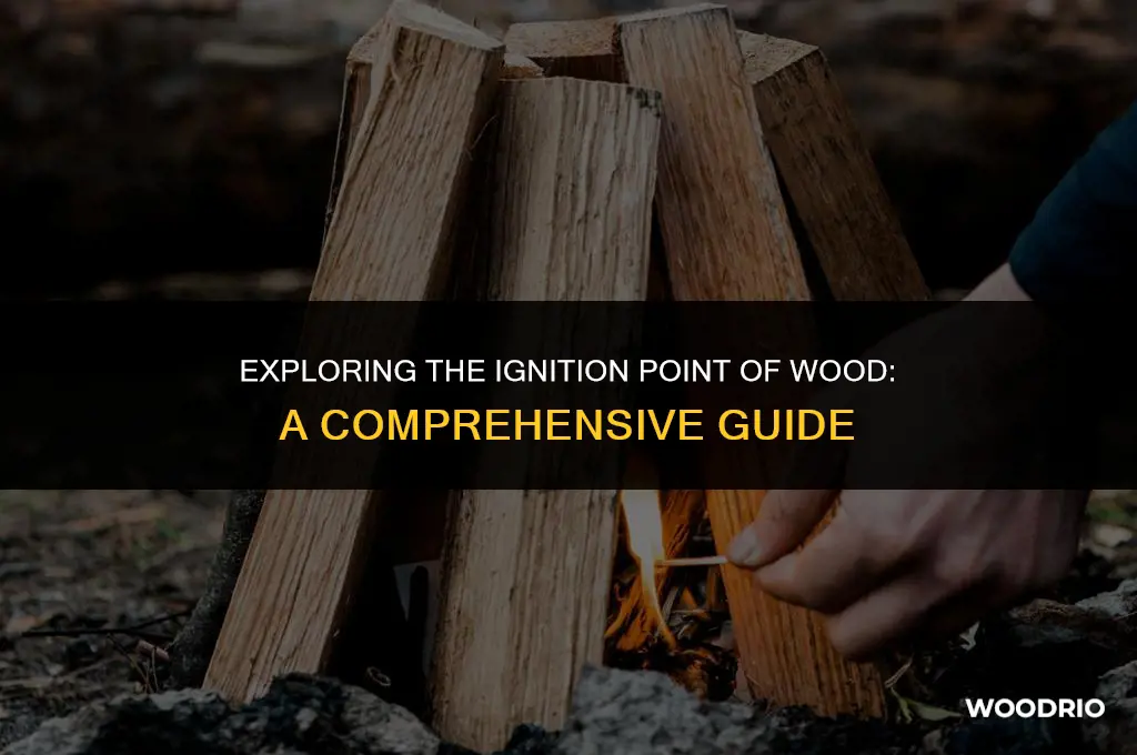 what temperature will wood ignite