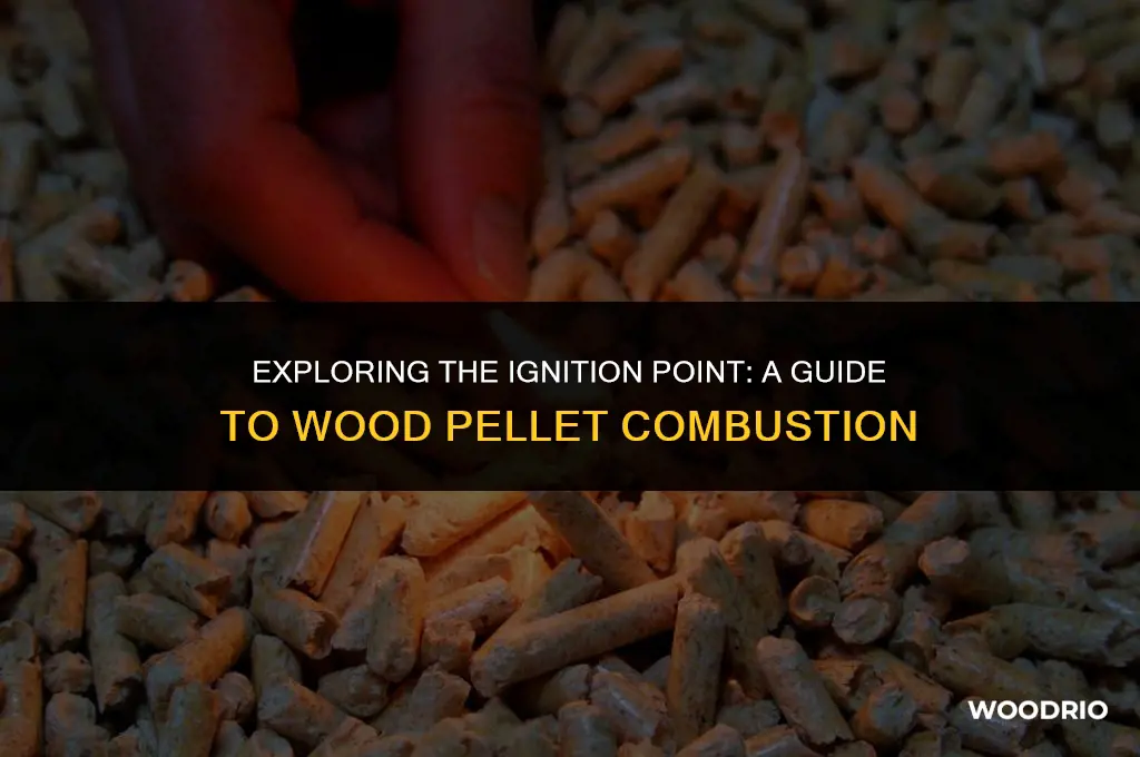 what temperature will wood pellets ignit