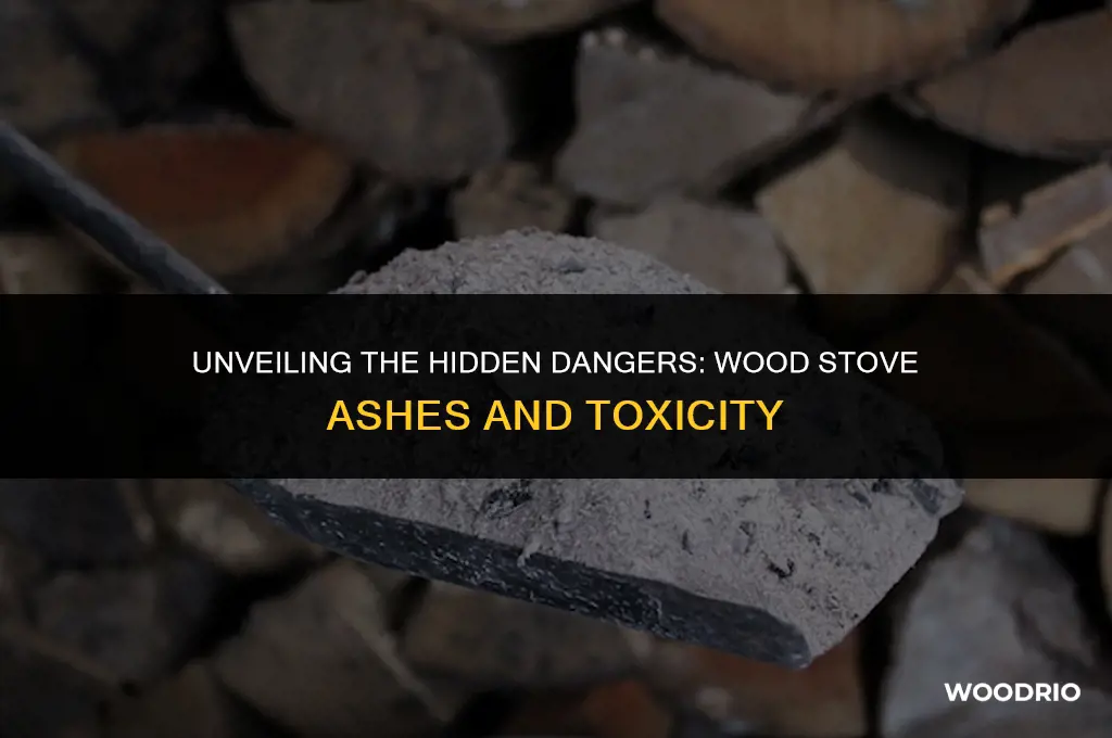 what things will produce toxic ashes from a wood stove