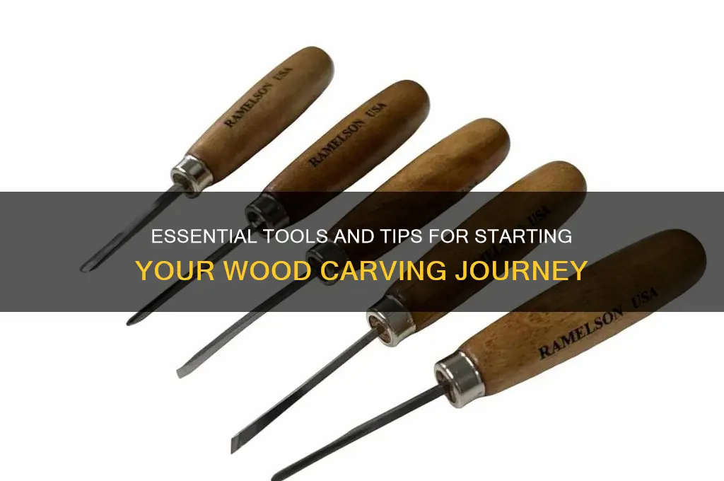 what to buy beginner wood carver