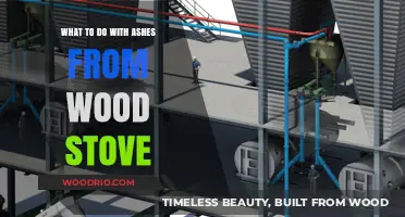 Eco-Friendly Disposal: A Guide to Managing Wood Stove Ashes