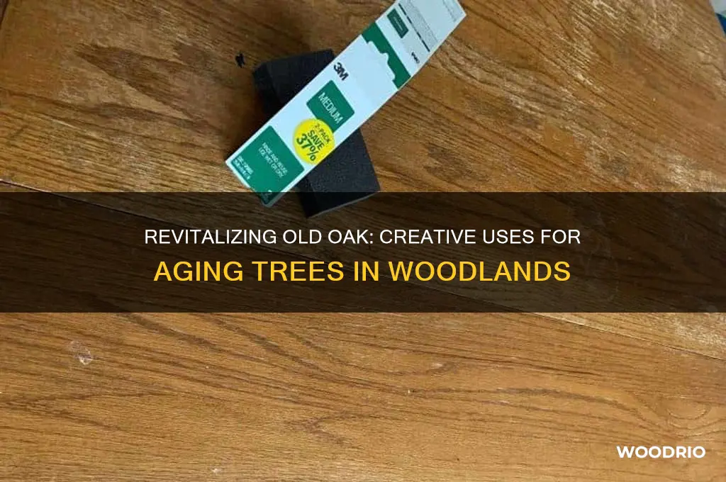 what to do with old oak in the woods