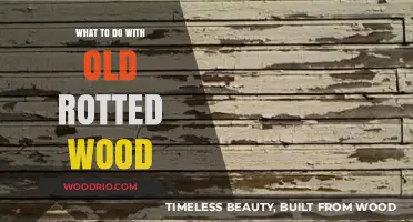 Reviving Rotted Wood: Creative Repurposing and Eco-Friendly Disposal Ideas