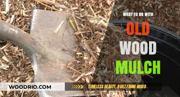 Creative Ways to Repurpose and Reuse Old Wood Mulch in Your Garden