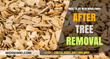 From Timber to Treasure: Creative Uses for Wood Chips Post-Tree Removal