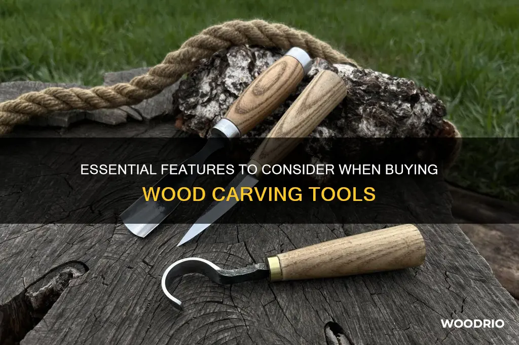 what to look for buying wood carving tools