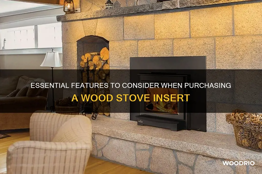 what to look for when buying wood stove insert