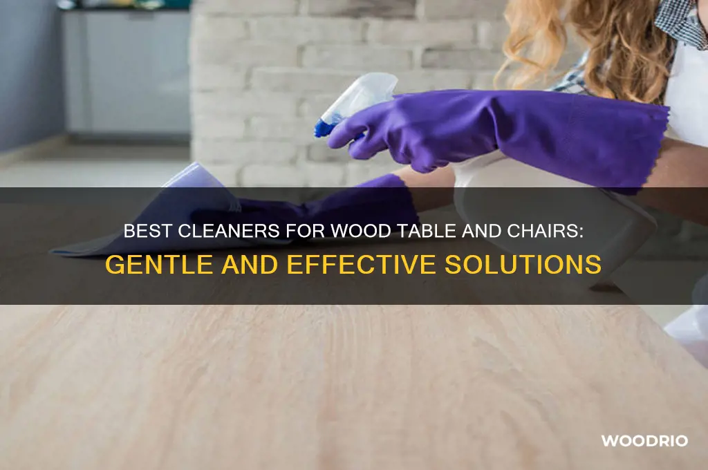 what to wash a wood table and chairs with