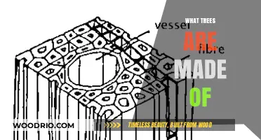 Unveiling Nature's Secrets: The Intricate Composition of Trees