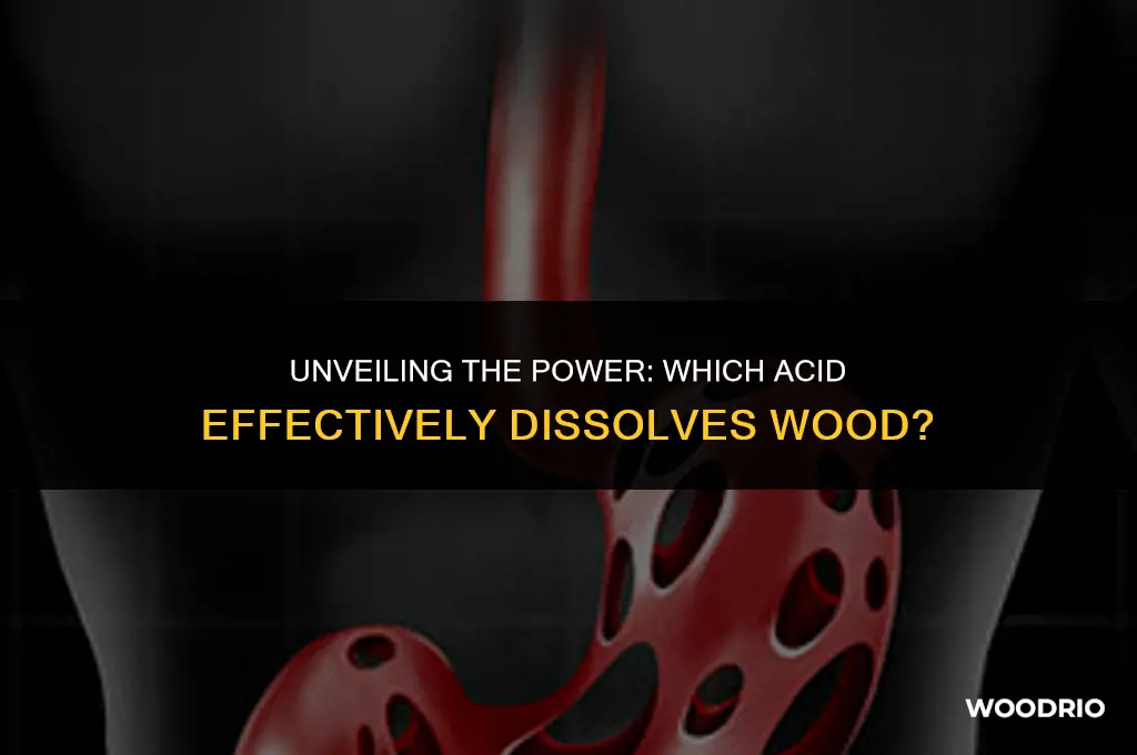 what type of acid will eat wood