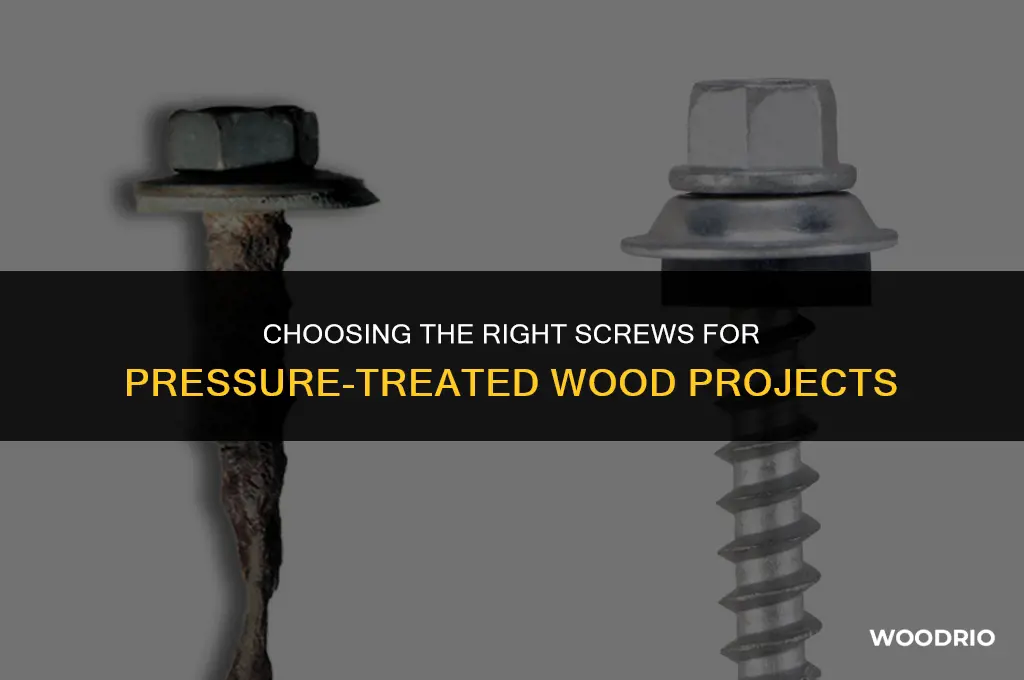 what type of screws for pressure treated wood