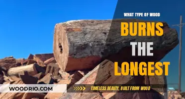 Which Wood Burns the Longest? A Comprehensive Guide for Firewood Enthusiasts