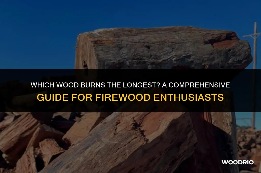 what type of wood burns the longest