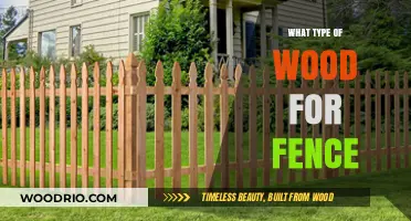 Choosing the Best Wood for Your Fence: Types and Durability