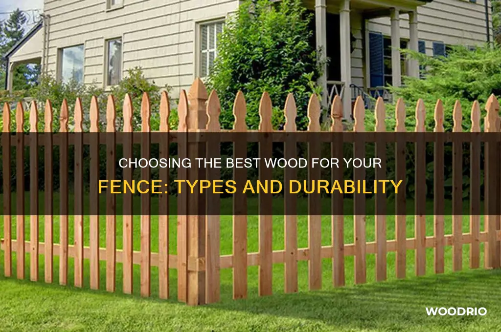 what type of wood for fence