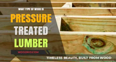 Exploring the Types of Wood Used for Pressure-Treated Lumber