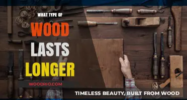 Choosing Durable Wood: Which Types Offer the Longest Lifespan?