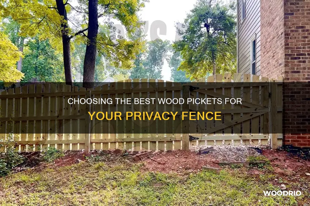 what type of wood pickets to buy for privacy fence
