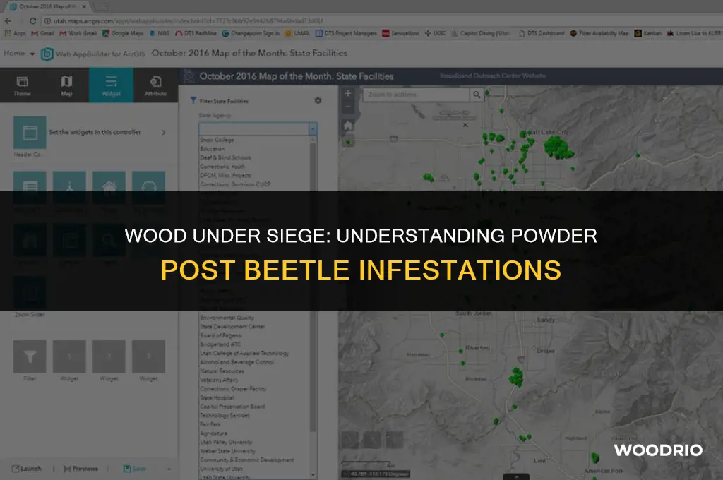 what types of wood will powder post beetles infest