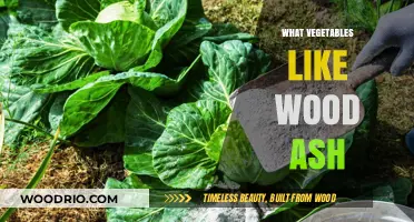 Enrich Your Garden: Vegetables That Thrive with Wood Ash