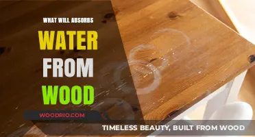 Effective Methods to Remove Water from Wood Surfaces