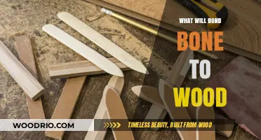 Exploring the Science: How Bonds Form Between Bone and Wood