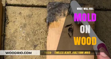 Effective Ways to Eliminate Mold from Wood Surfaces