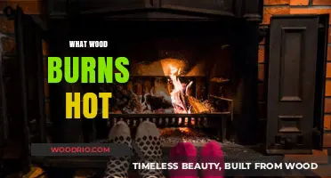 Exploring the Hottest Burning Woods for Your Fireplace