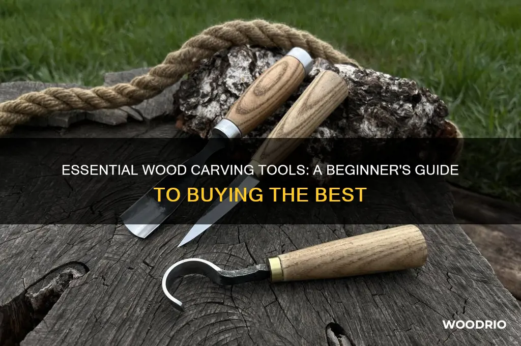 what wood carving tools to buy