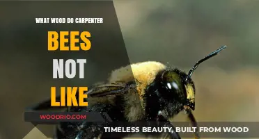 Carpenter Bees' Least Favorite Woods: A Comprehensive Guide